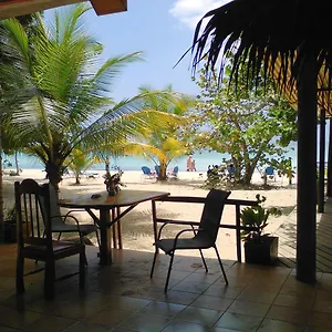 https://whistling-bird.comcaribbean.com